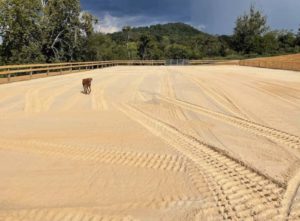 Horse Arena Built by Osborne and Sons